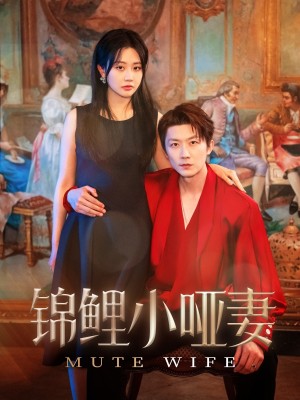 锦鲤小哑妻（90集）