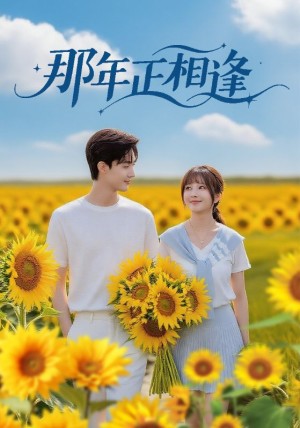 那年正相逢（60集）