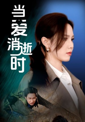 当爱消逝时（53集）