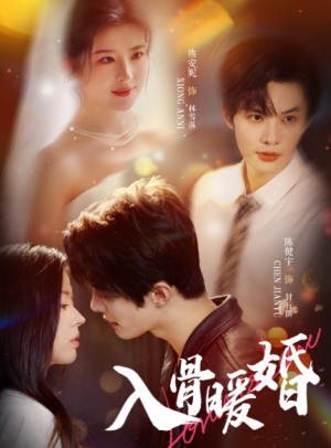 入骨暖婚（60集）