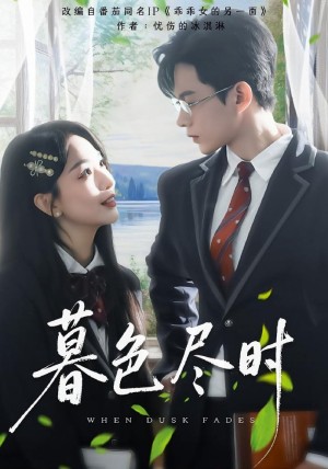 暮色尽时（100集）