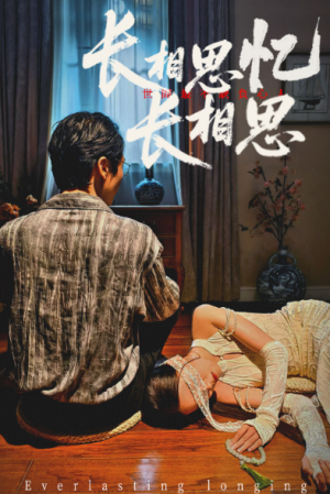 长相思忆长相思 (50集)