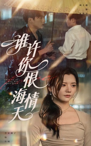 谁许你恨海情天（50集）