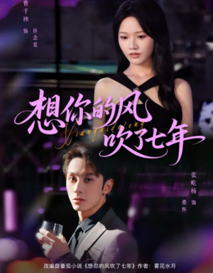 想你的风吹了七年（82集）