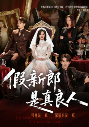 假新郎是真良人（67集）