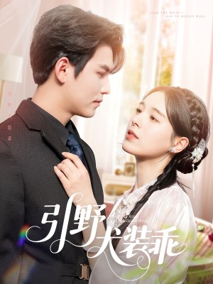 引野犬装乖（61集）