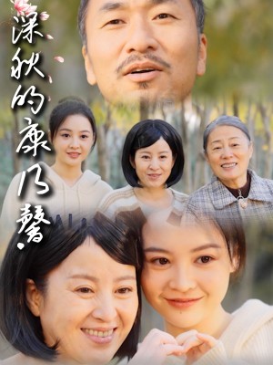 深秋的康乃馨（90集）