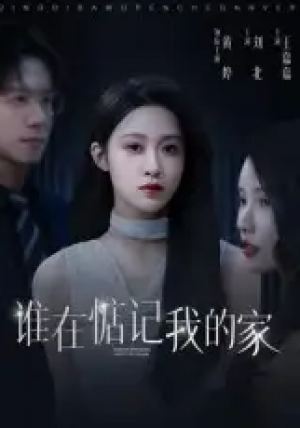 谁在惦记我的家（30集）