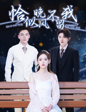 恰似晚风不留我（弃他如风）（51集）