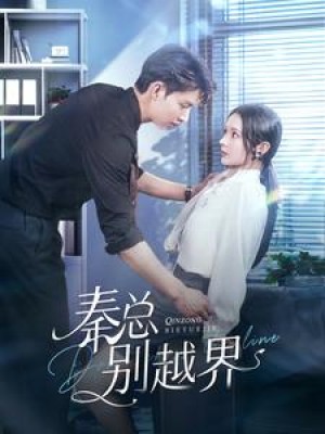 秦总别越界（91集）