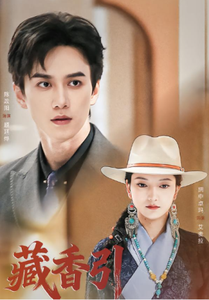 藏香引（63集）