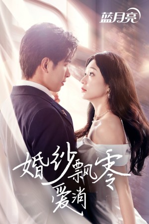 婚纱飘零爱消弭（38集）