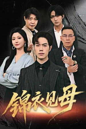 锦衣见母（60集）