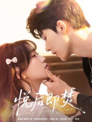 悦后即焚（65集）