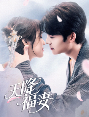 天降福妻（60集） 