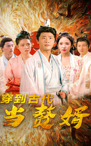 穿到古代当赘婿（96集）