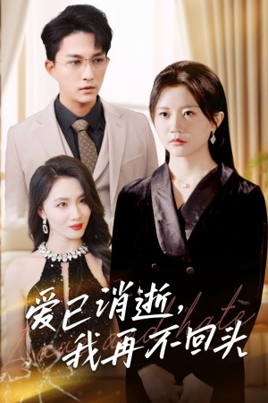 爱已消逝我再不回头（31集）