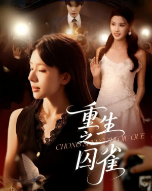 重生之囚雀（75集）