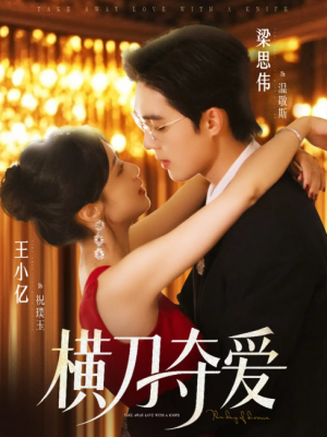 横刀夺爱（82集）