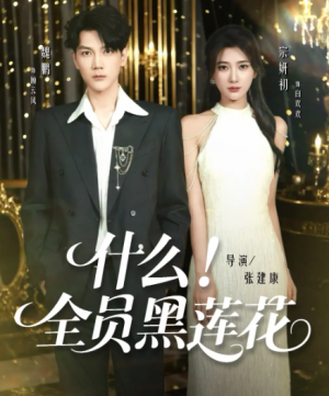 什么全员黑莲花（60集）