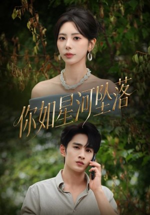 你如星河坠落（65集）