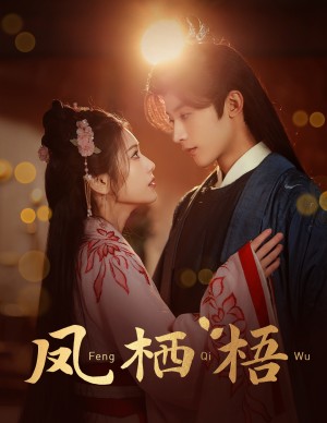 凤栖梧（60集）