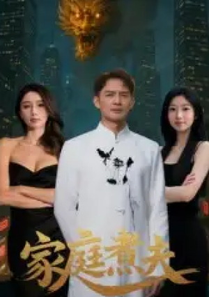 ﻿家庭煮夫（65集）