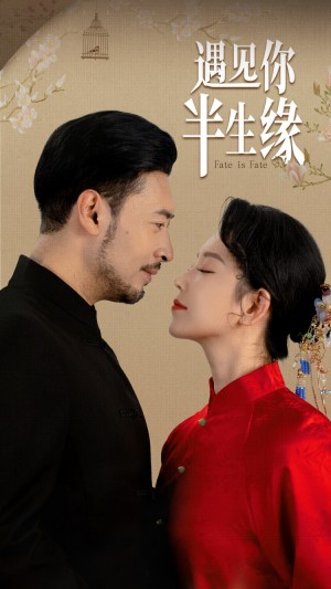 遇见你半生缘（65集）