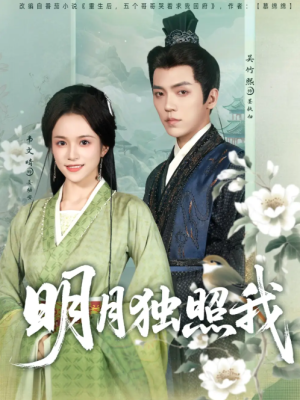 明月独照我（80集）
