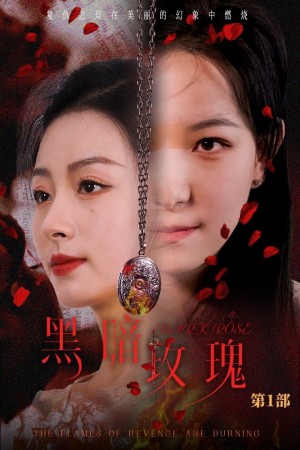 黑暗玫瑰（84集）