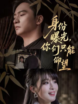 身份曝光你们只能仰望（78集）