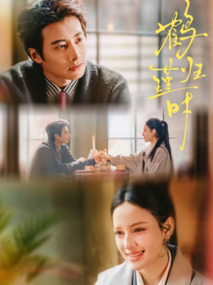 鹤归瑾时（81集）