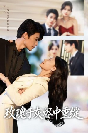 玫瑰于灰烬中重绽 (65集) 