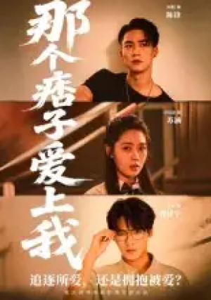 那个痞子爱上我（50集）