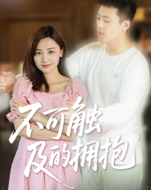 不可触及的拥抱 (40集) 
