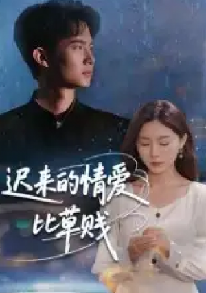 迟来的情爱比草贱（46集）