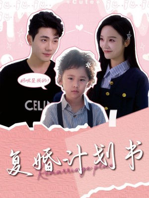 复婚计划书（96集）