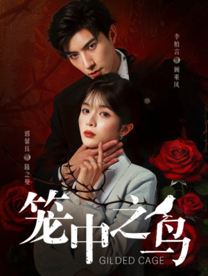 笼中之鸟（70集）