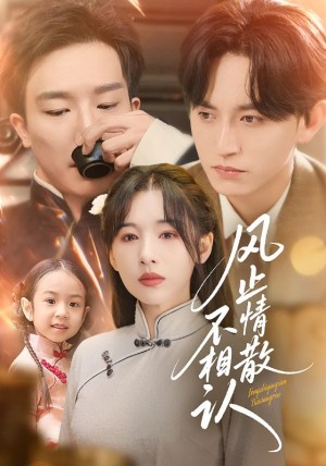 风止情散不相认（74集）