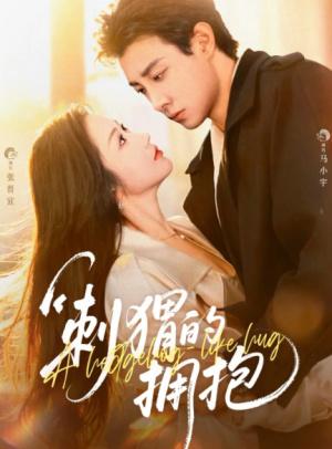 刺猬的拥抱（71集）