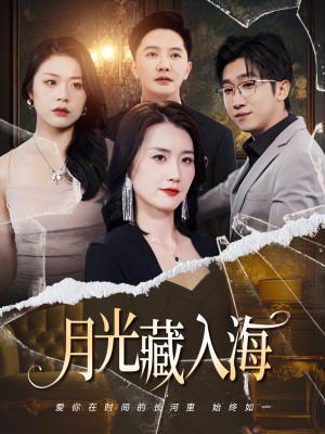月光藏入海（70集）