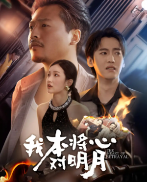我本将心对明月（62集）