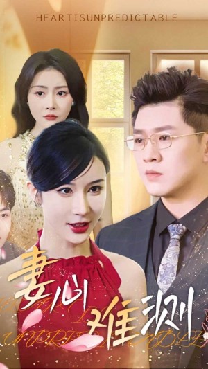妻心难测（33集）