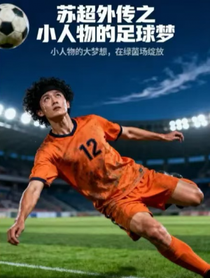 苏超外传之小人物的足球梦（70集）