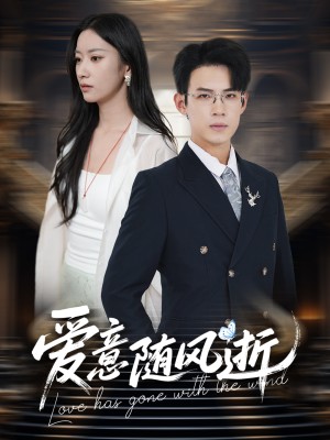爱意随风逝（60集）