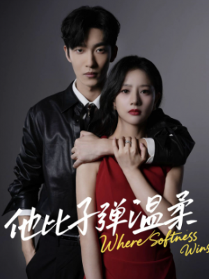 他比子弹温柔（68集）