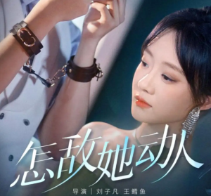 怎敌她动人（75集）