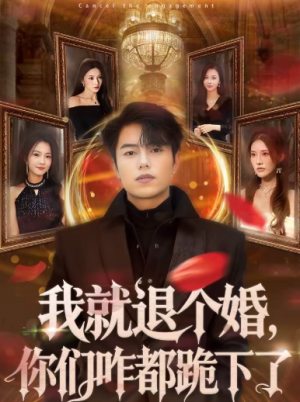 我就退个婚你们咋都跪下了（66集）