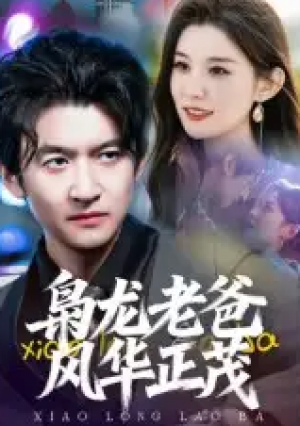枭龙老爸风华正茂（70集）